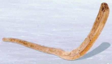 The Evolution of the Hockey Stick