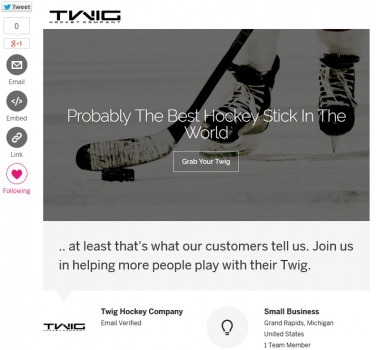 The Twig Hockey Company fundraising campaign is started!